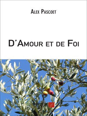 cover image of D'Amour et de Foi